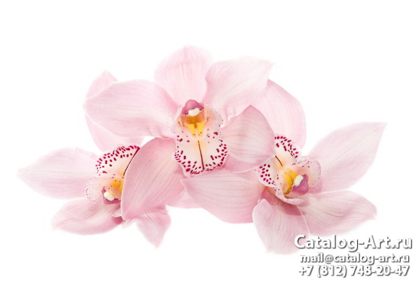 картинки для фотопечати на потолках, идеи, фото, образцы - Потолки с фотопечатью - Розовые орхидеи 93